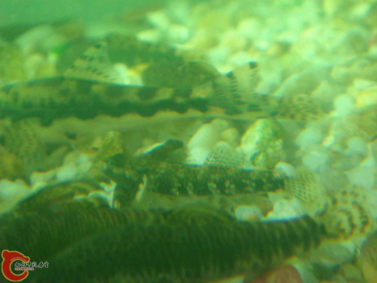 DSC06440.JPG