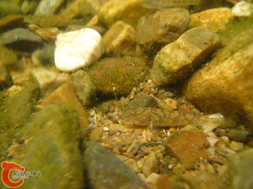IMG_9247.jpg