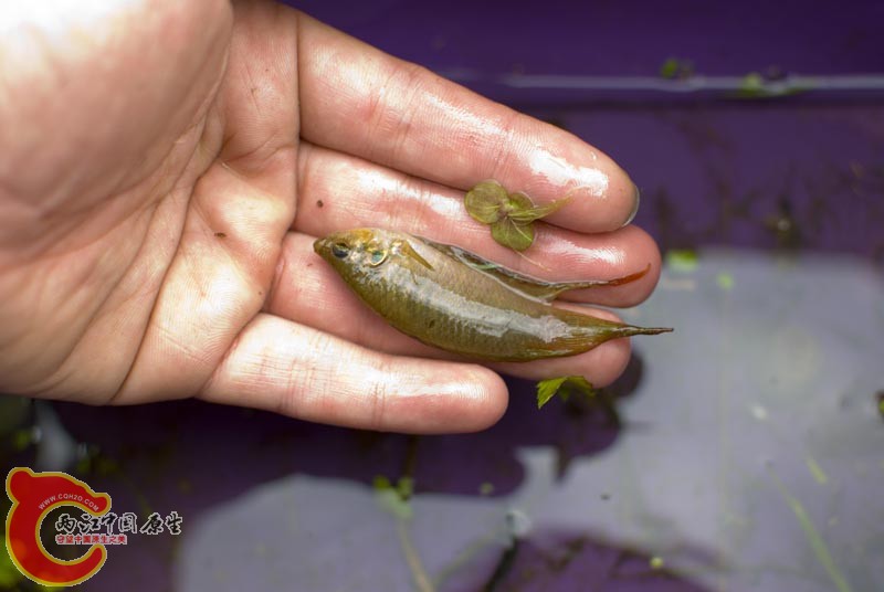 DSC_9414.jpg