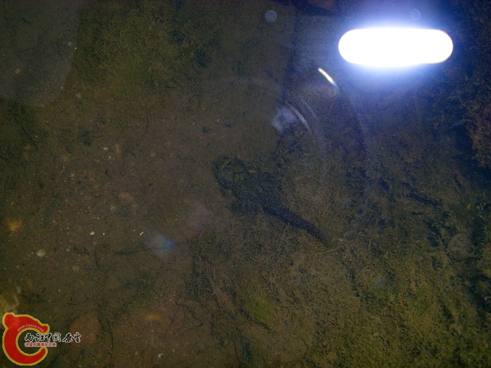 DSCN4334.JPG