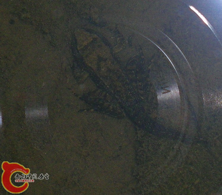 DSCN4333.JPG