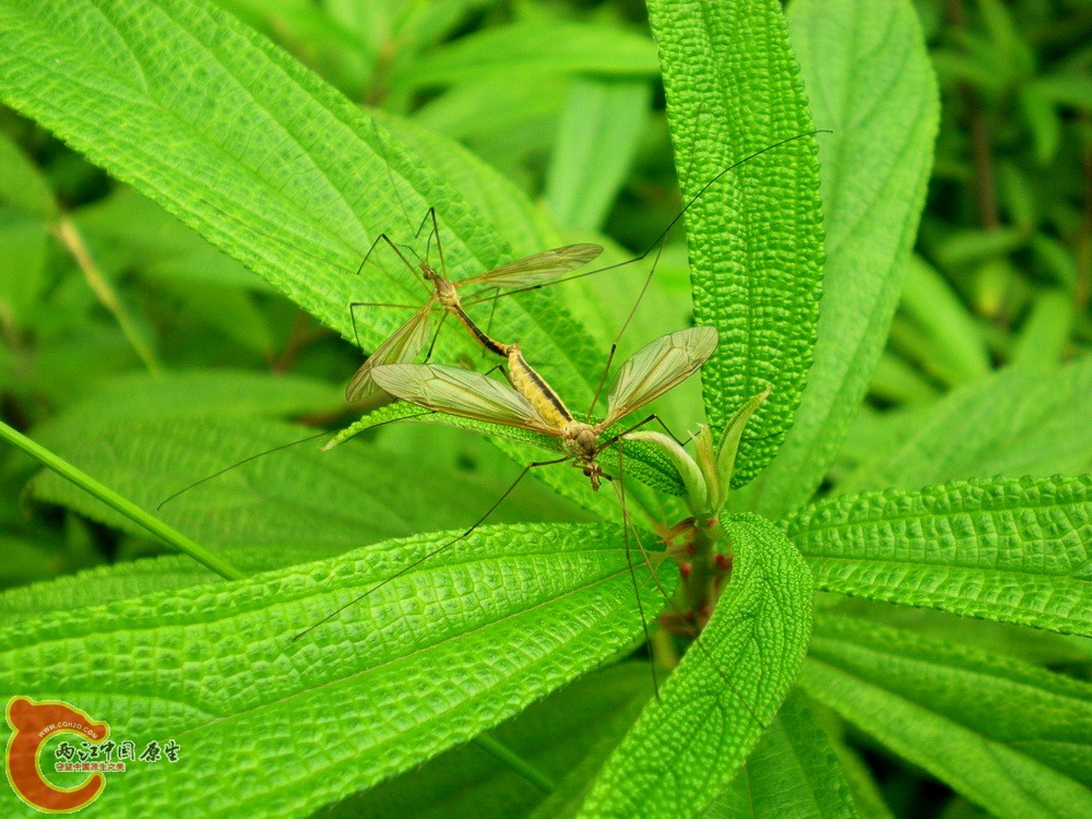 DSCN4314.JPG