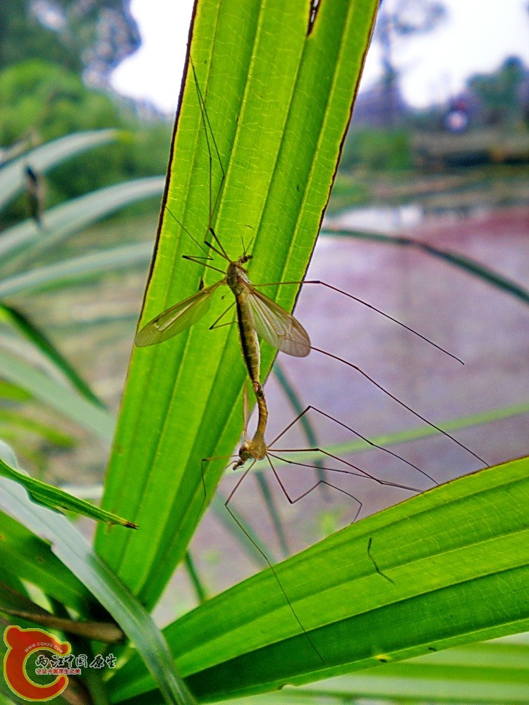 DSCN4315.JPG