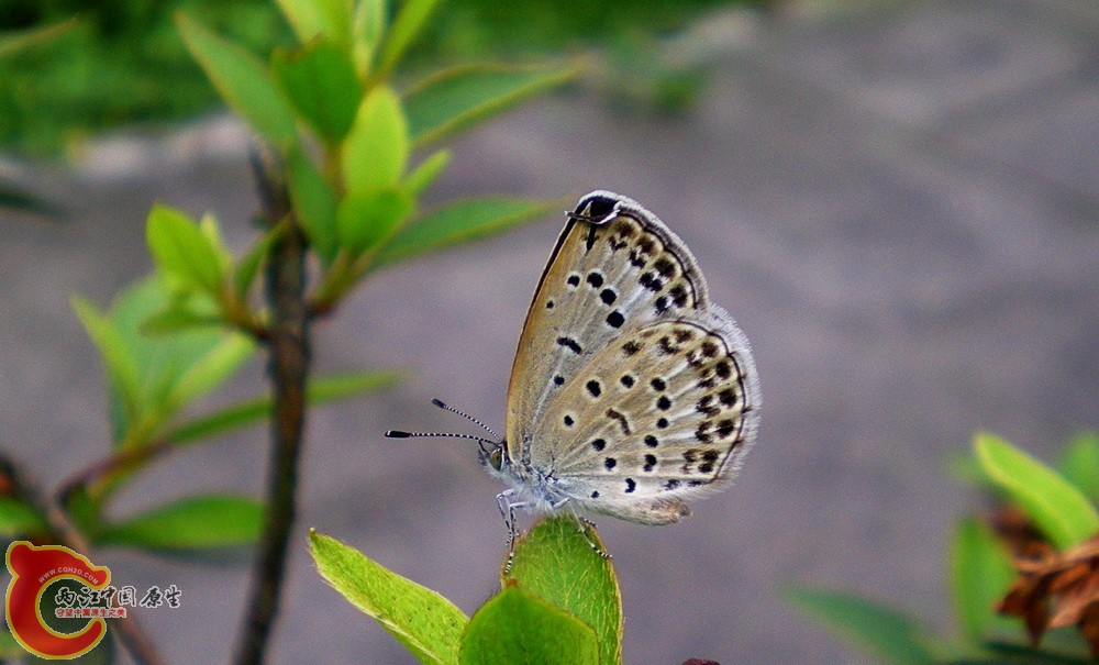 DSCN4269.JPG