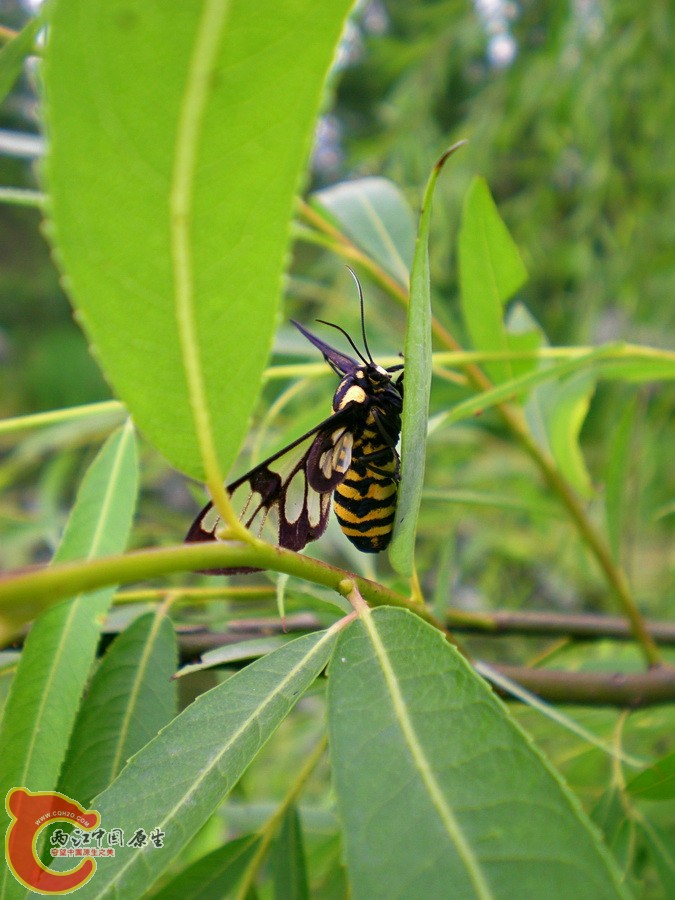 DSCN4270.JPG