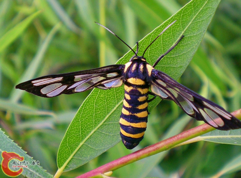 DSCN4273.JPG