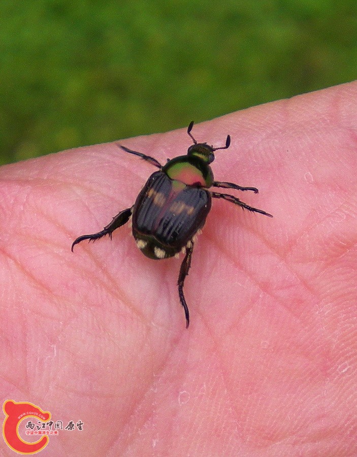 DSCN4340.JPG
