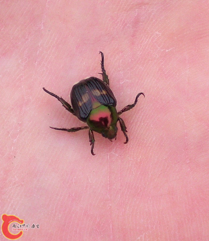 DSCN4341.JPG