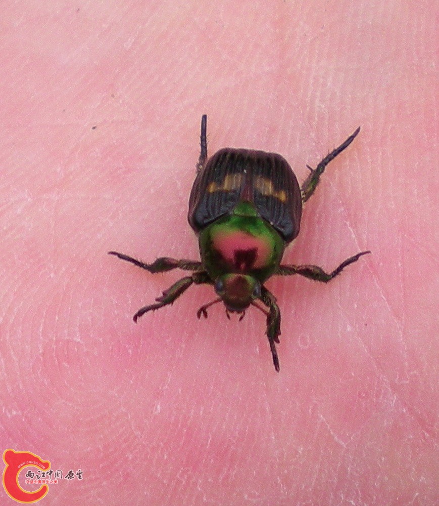 DSCN4342.JPG