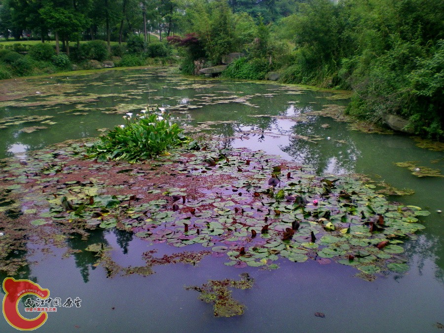 DSCN4344.JPG