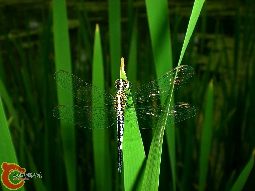 DSCN4354.JPG