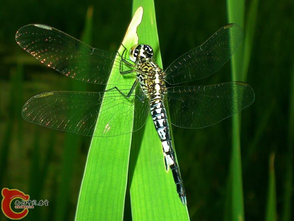 DSCN4356.JPG