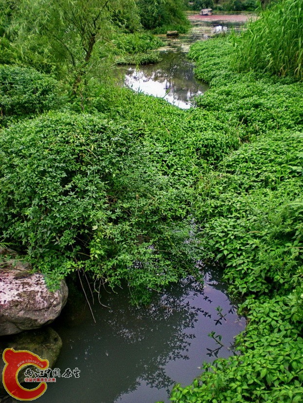 A4335.JPG
