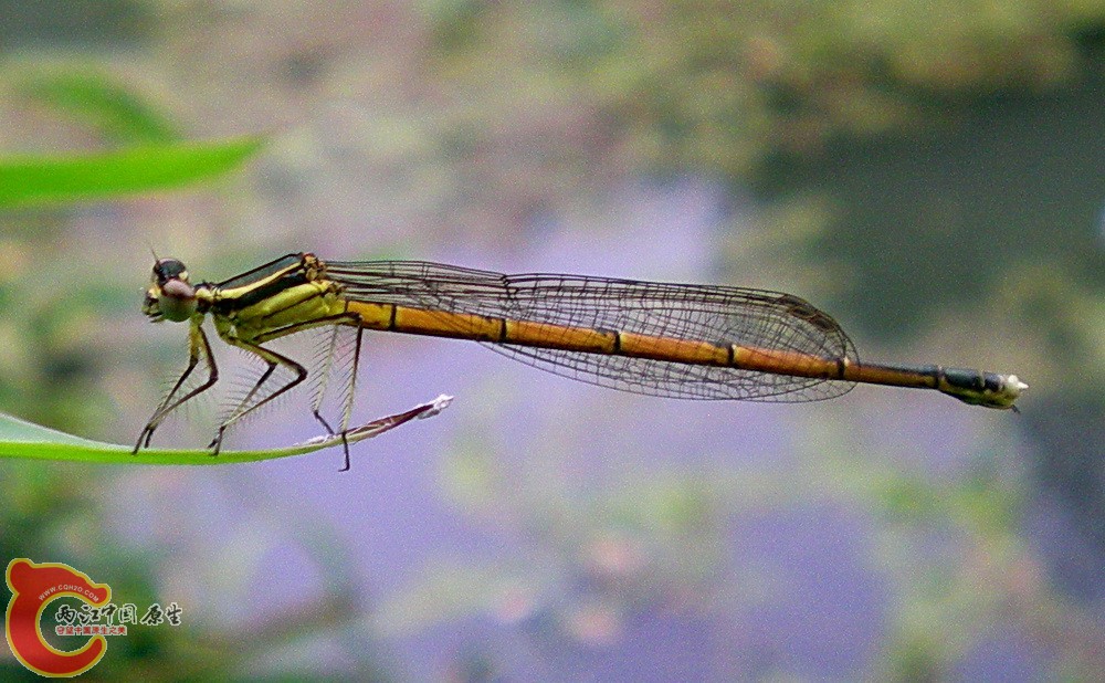DSCN4328.JPG