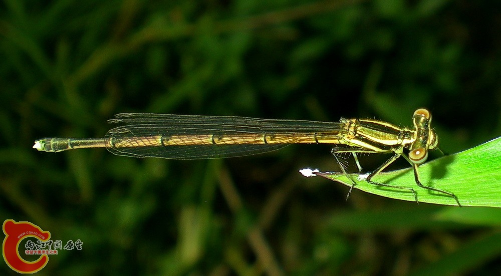 DSCN4329.JPG