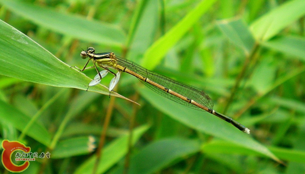 DSCN4332.JPG