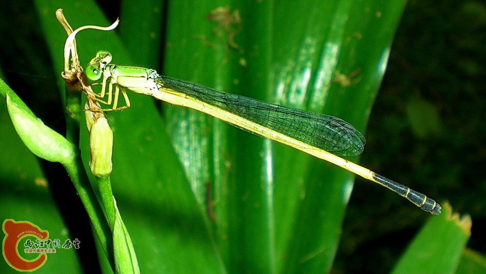DSCN4318.JPG