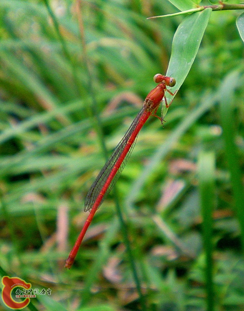 DSCN4291.JPG