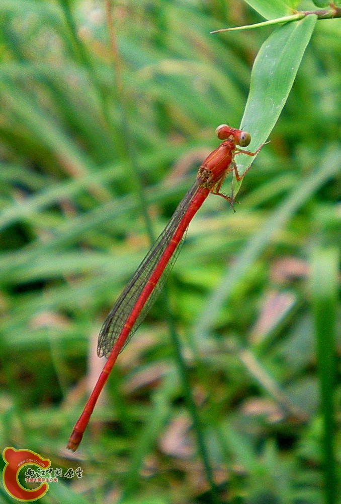 DSCN4292.JPG