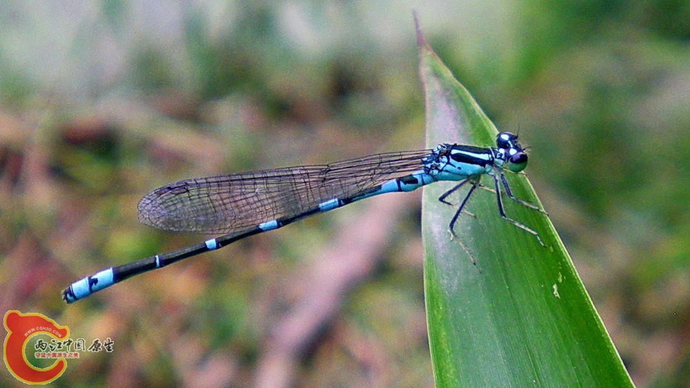 DSCN4321.JPG