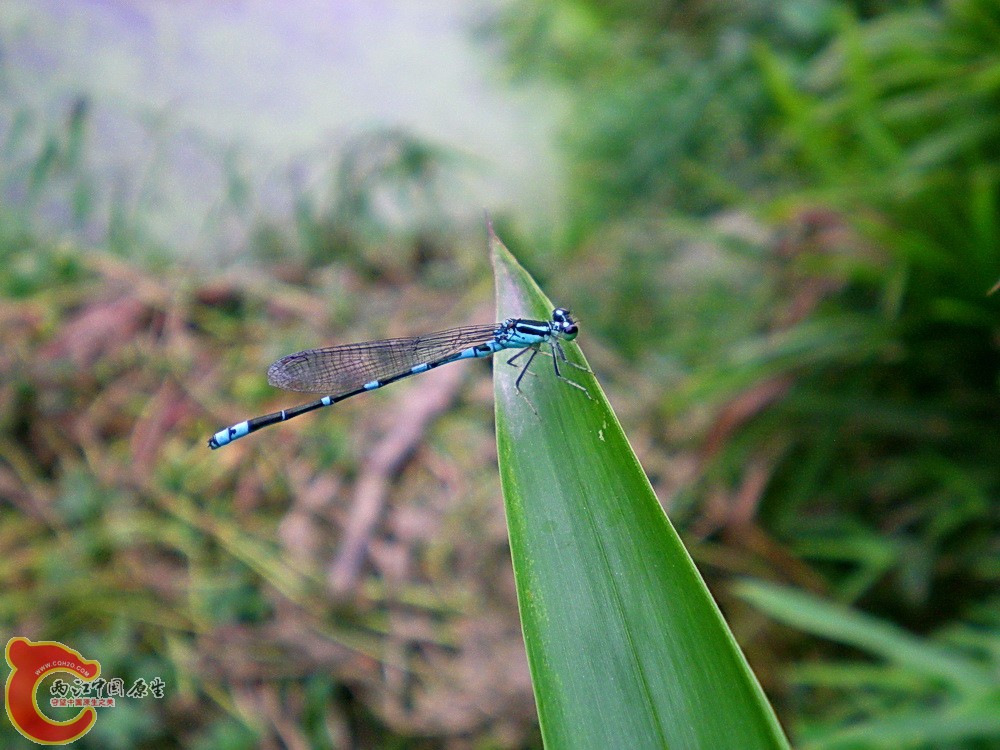 DSCN4322.JPG