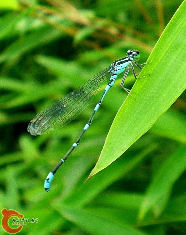 DSCN4325.JPG