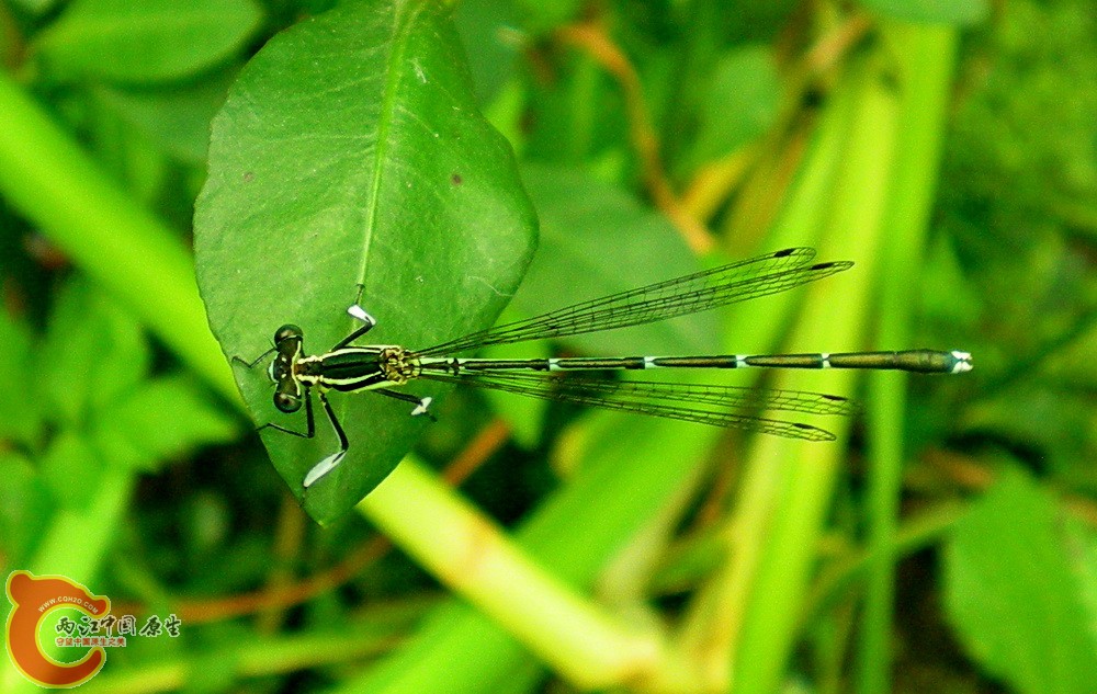 DSCN4261.JPG