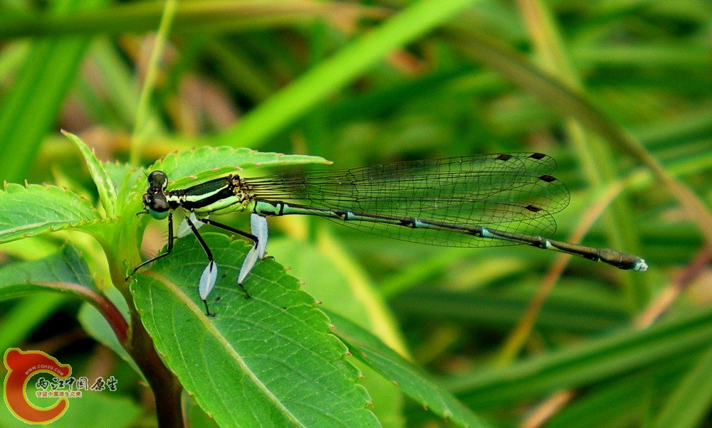 DSCN4280.JPG