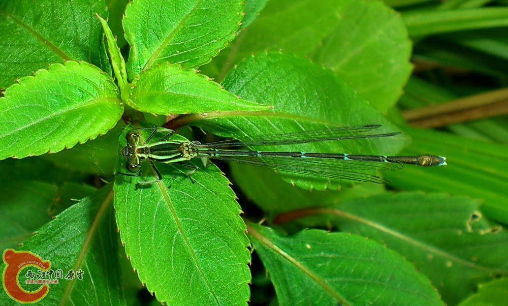 DSCN4282.JPG