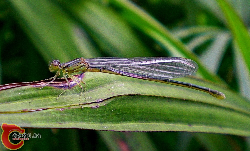 DSCN4294.JPG