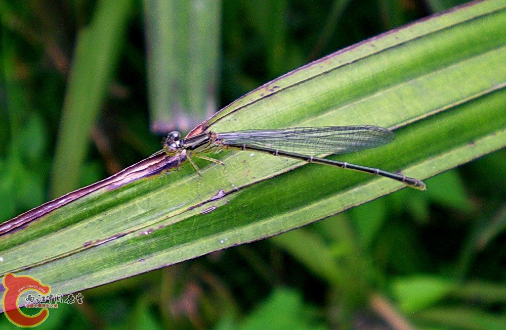 DSCN4297.JPG