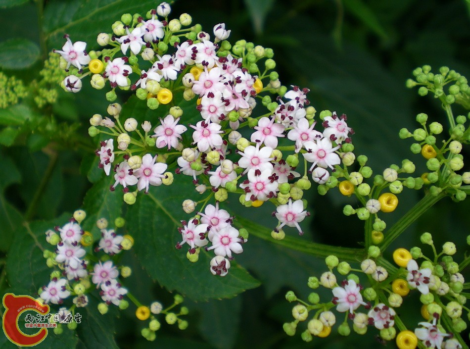 DSCN4108.JPG