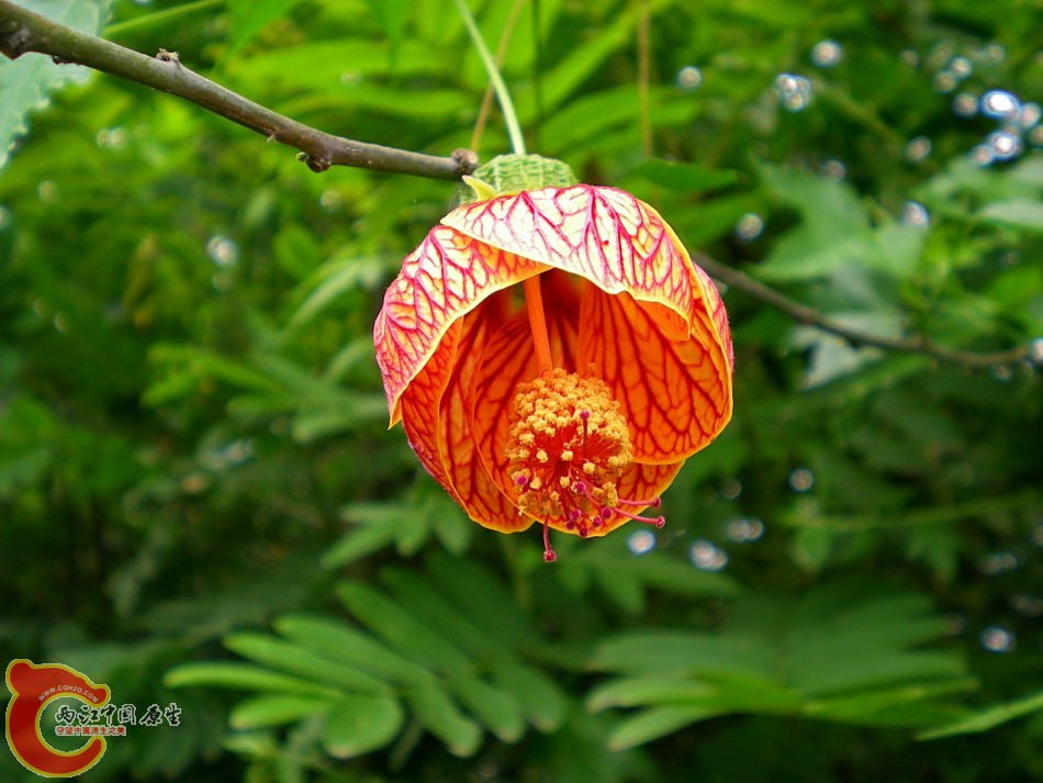 DSCN4140.JPG