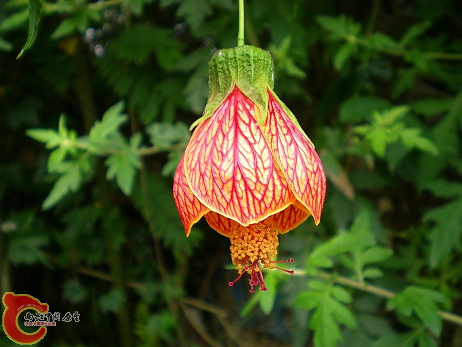 DSCN4142.JPG