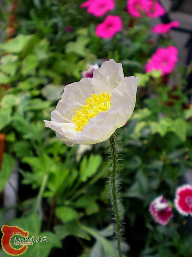DSCN4160.JPG
