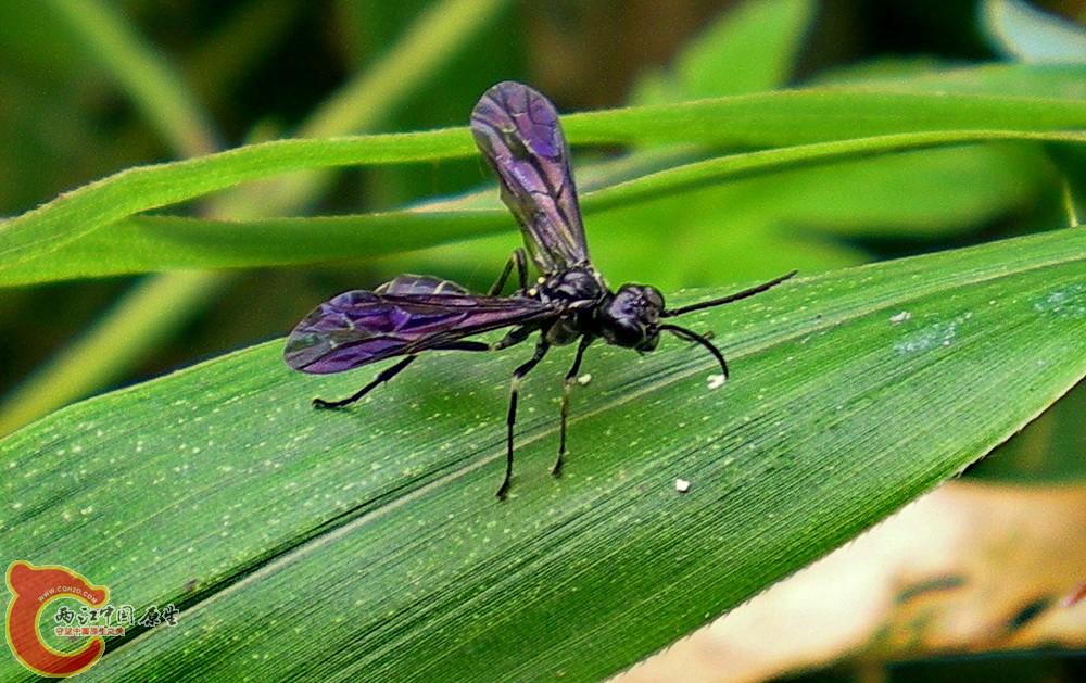DSCN4112.JPG