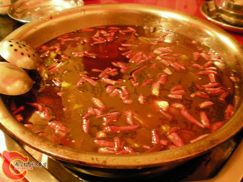 DSCN4193.JPG