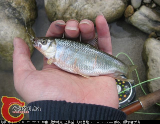 220452a0bhe20030l6xeav.jpg