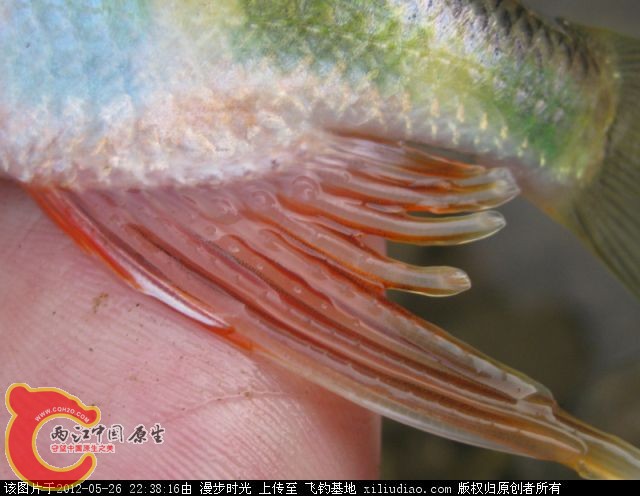 220749p9g85p5p56kijjg4.jpg