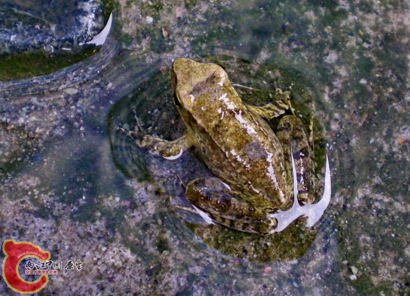 DSCN4362.JPG
