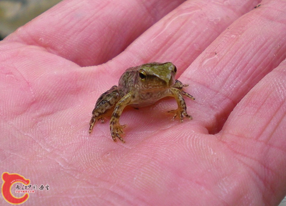 DSCN4363.JPG
