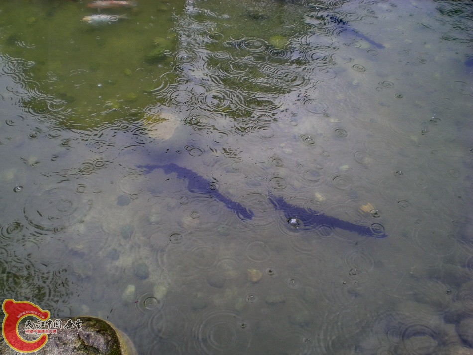 DSCN4365.JPG