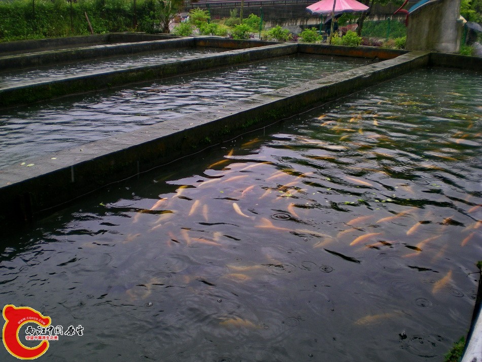 DSCN4369.JPG