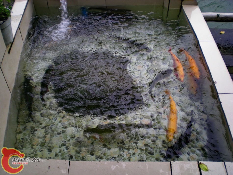 DSCN4372.JPG