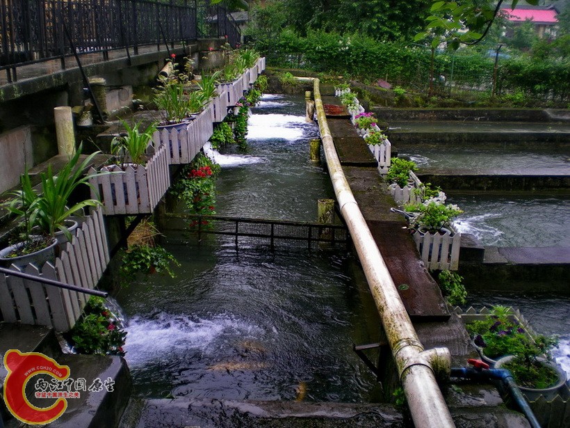 DSCN4373.JPG