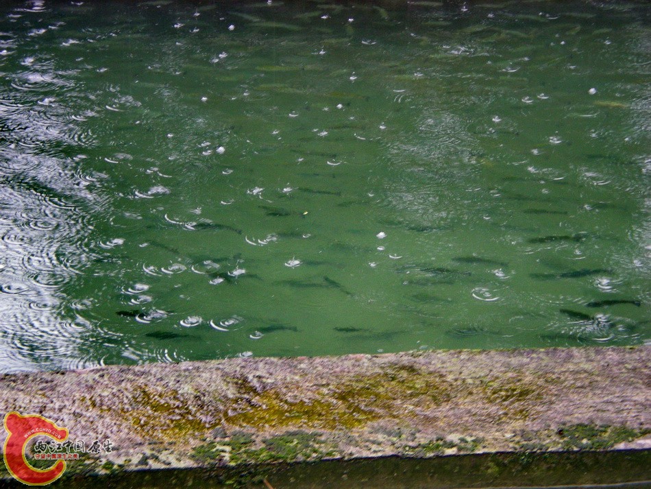 DSCN4379.JPG