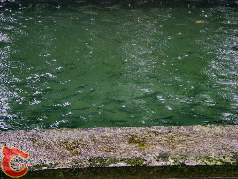 DSCN4380.JPG