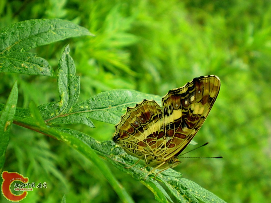 DSCN4395.JPG