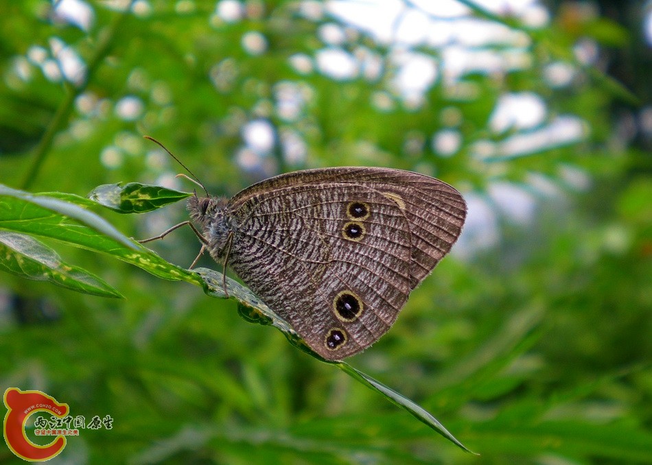DSCN4401.JPG