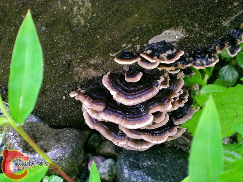 DSCN4405.JPG